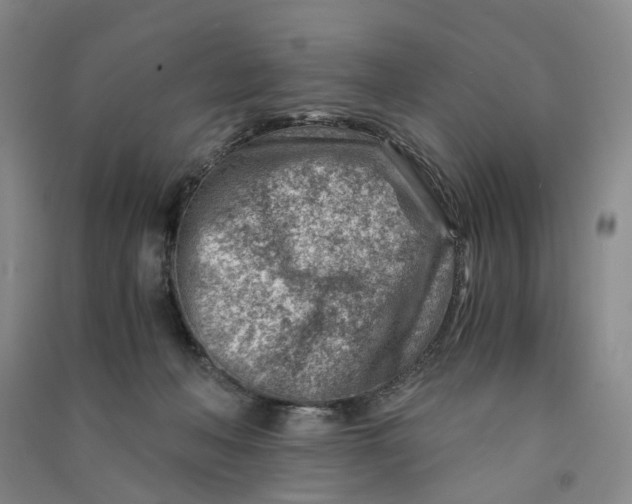 X0000090880222200708171652