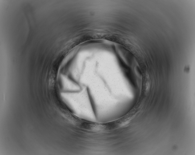 X0000090880226200708171652