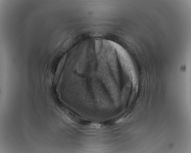 X0000090880227200708171652