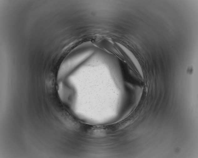 X0000090880228200708171652