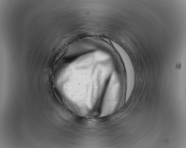 X0000090880229200708171652