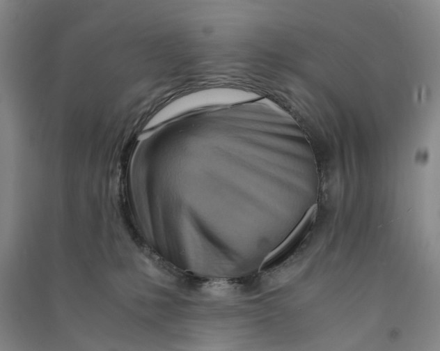 X0000090880231200708171652