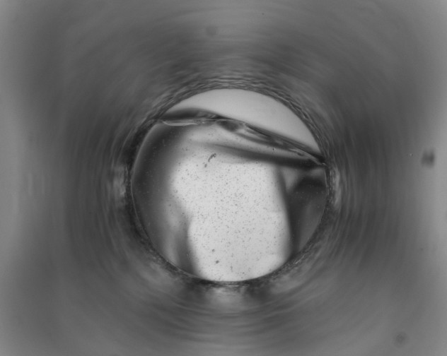 X0000090880232200708171652