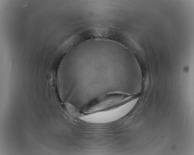 X0000090880233200708171652