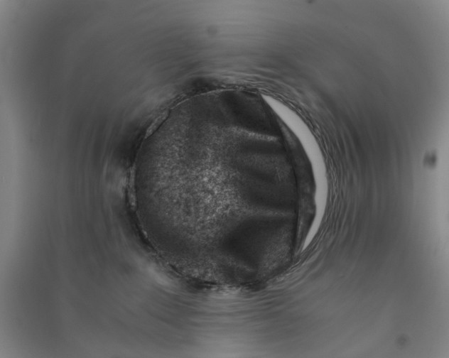 X0000090880235200708171652