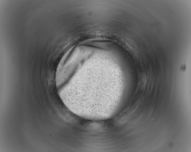 X0000090880236200708171652