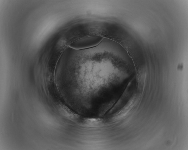 X0000090880239200708171652