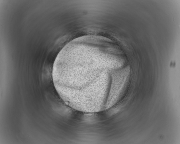 X0000090880240200708171652