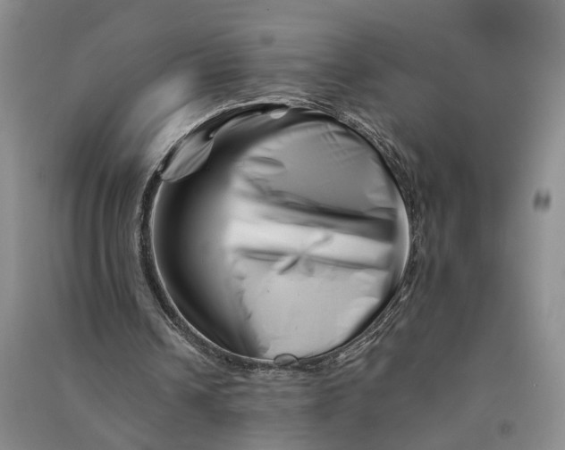 X0000090880242200708171651