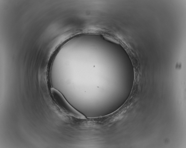 X0000090880244200708171651