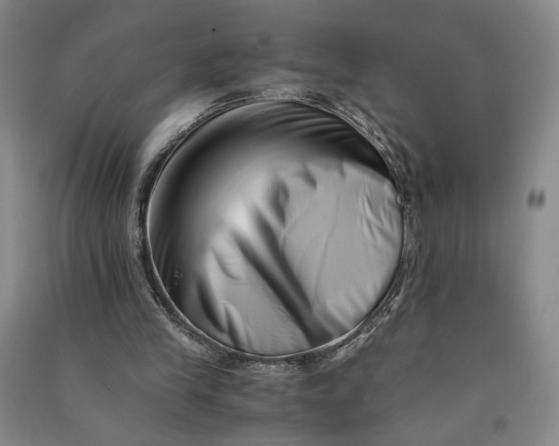 X0000090880245200708171651