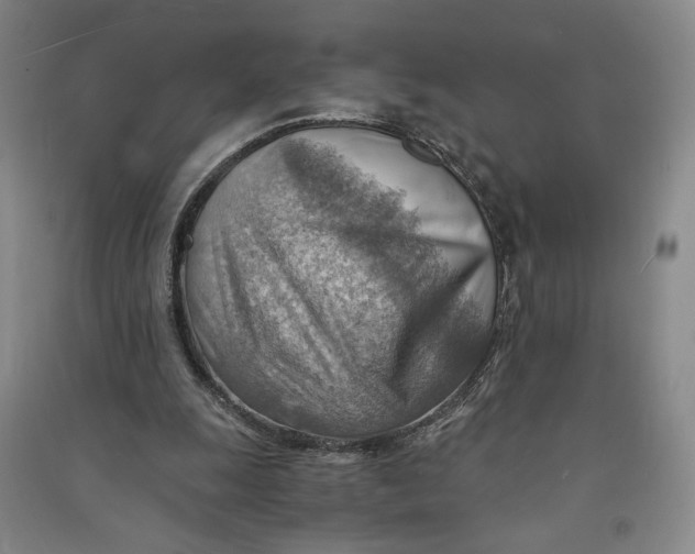 X0000090880247200708171651