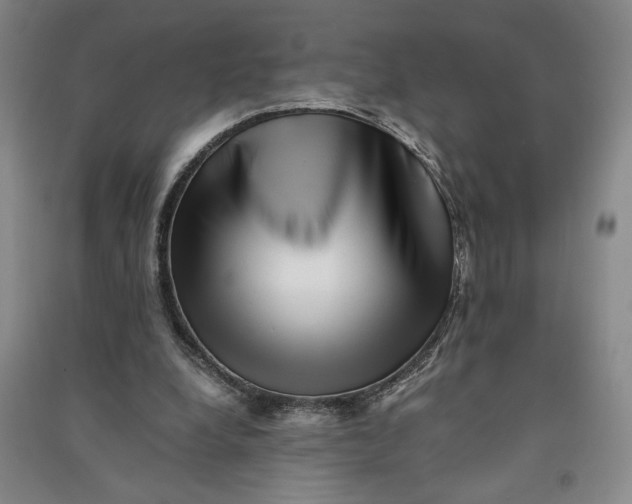 X0000090880248200708171651