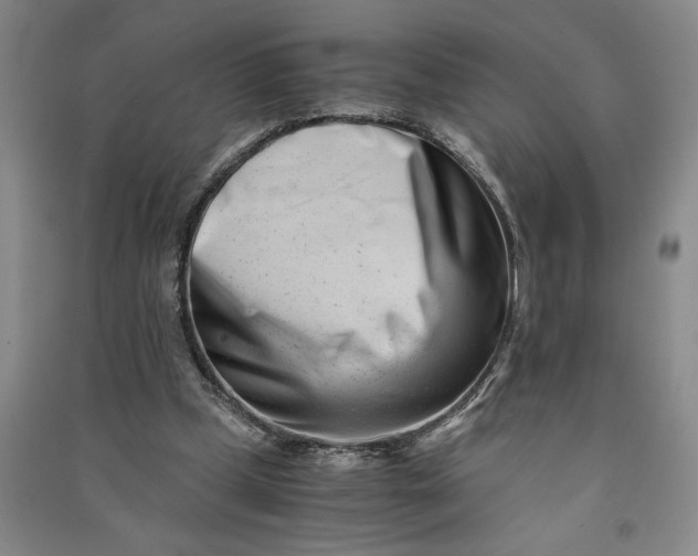 X0000090880249200708171651