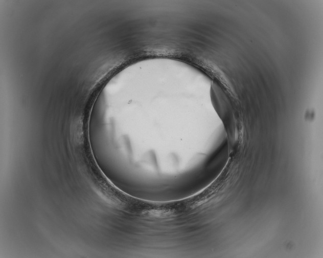 X0000090880251200708171651