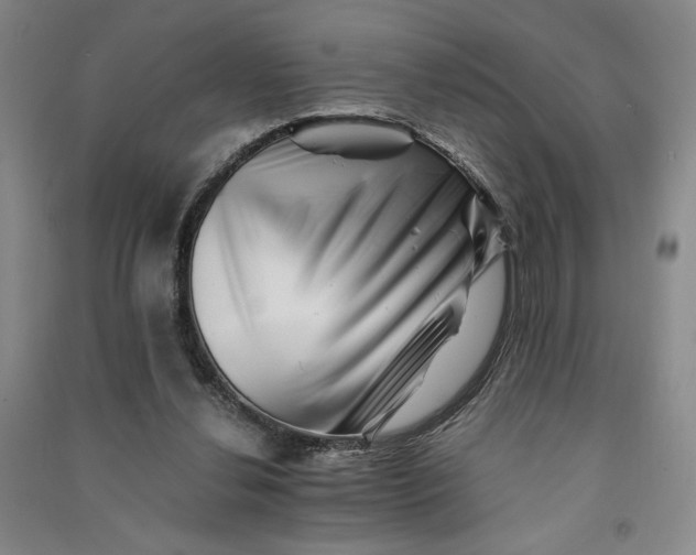 X0000090880252200708171651