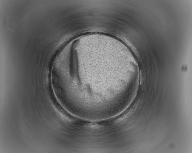 X0000090880253200708171651