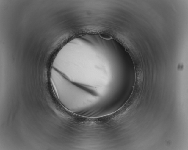 X0000090880254200708171651