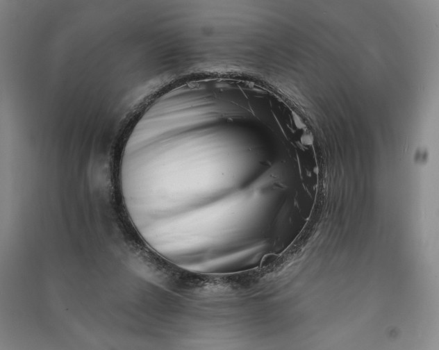 X0000090880256200708171651