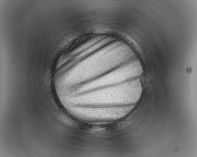 X0000090880257200708171651