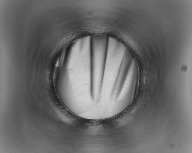 X0000090880258200708171651