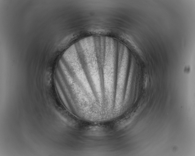 X0000090880259200708171651