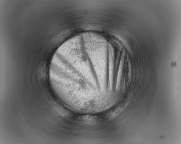 X0000090880261200708171651