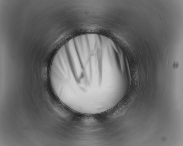 X0000090880262200708171651