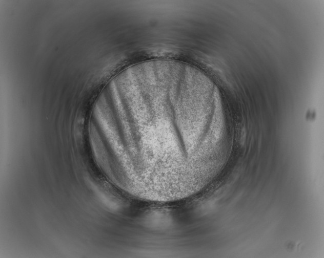 X0000090880263200708171651