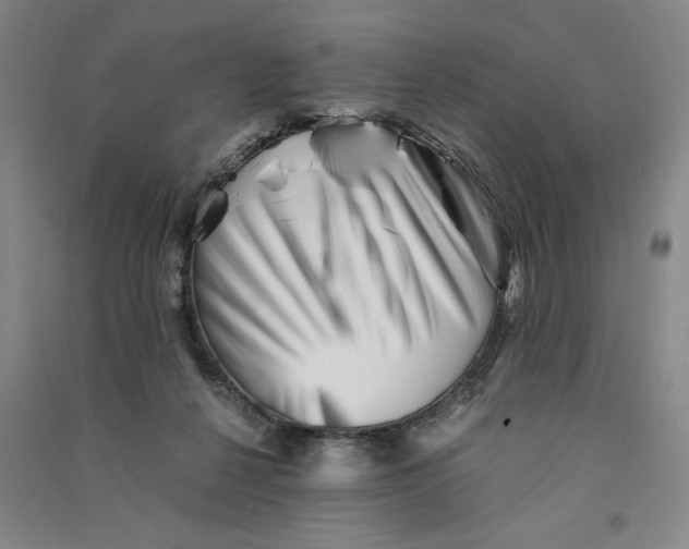 X0000090880264200708171651