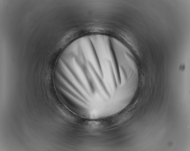 X0000090880265200708171651