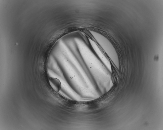 X0000090880266200708171651