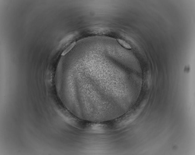 X0000090880268200708171651