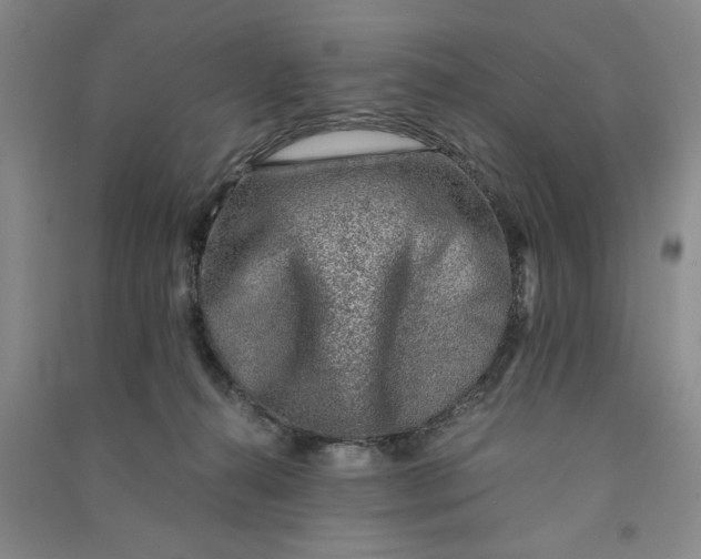 X0000090880272200708171651