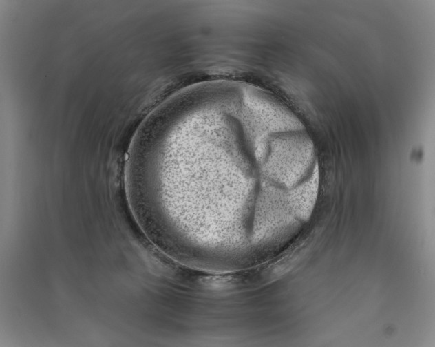 X0000090880273200708171651