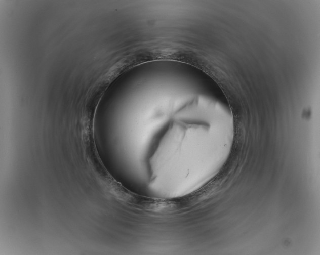 X0000090880274200708171651