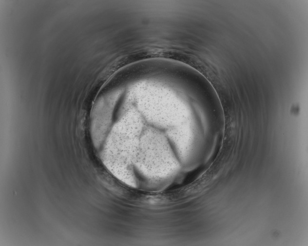 X0000090880275200708171651