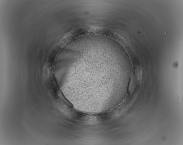 X0000090880276200708171651