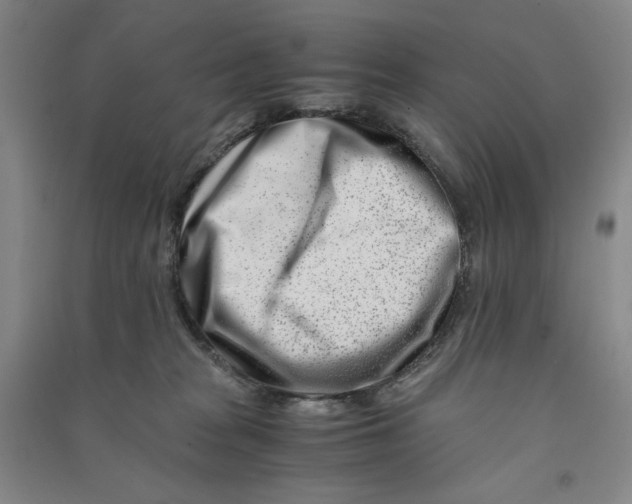 X0000090880277200708171651