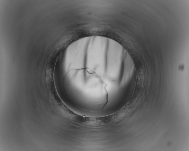 X0000090880278200708171651