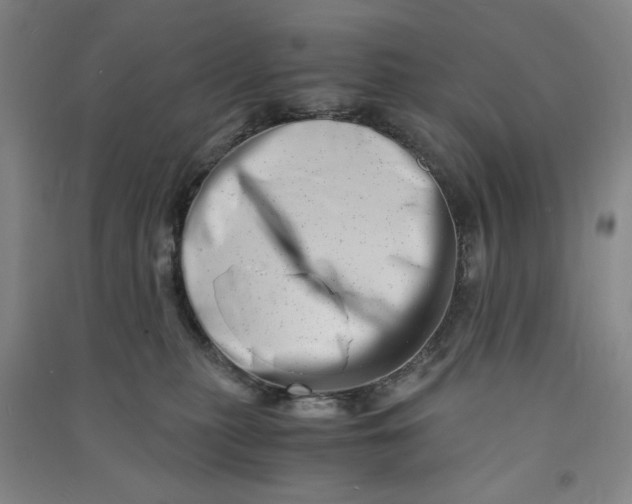 X0000090880279200708171651