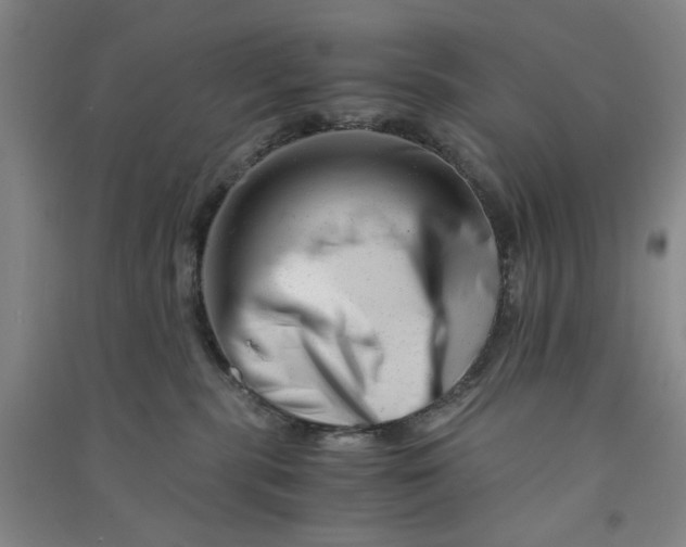 X0000090880283200708171651