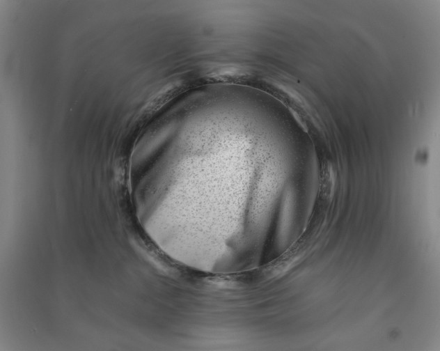 X0000090880284200708171651