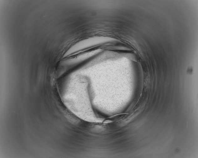 X0000090880285200708171651