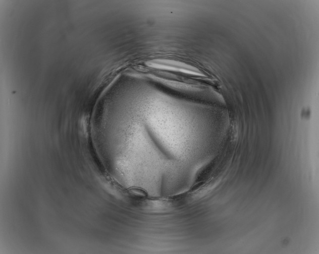 X0000090880286200708171651