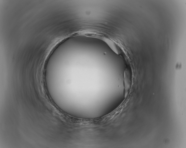 X0000090880289200708171651