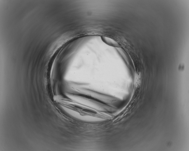 X0000090880291200708171651