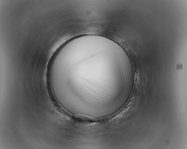 X0000090880292200708171651