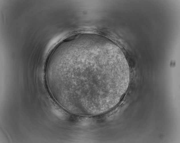 X0000090880293200708171651