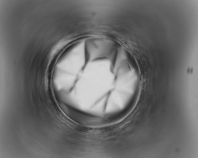 X0000090880294200708171651